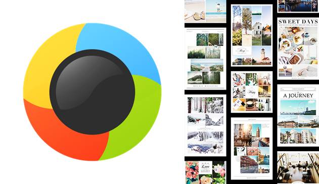 logo y collages de moldiv
