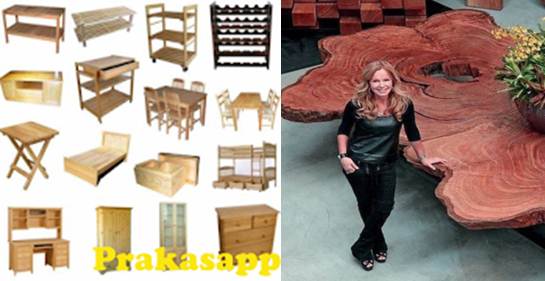 logo y diseño en la app diseño de muebles de madera