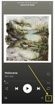 borrar tu cola de espera en Spotify 